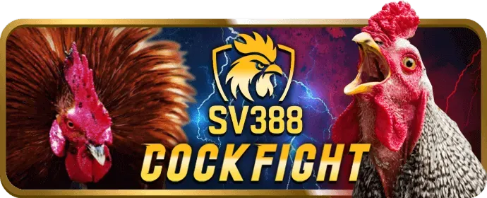 Ưu đãi nạp tiền hàng ngày tv888 win